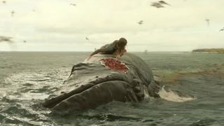 30. Отмель (2016)