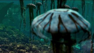 41. Отмель (2016)