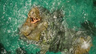 45. Отмель (2016)