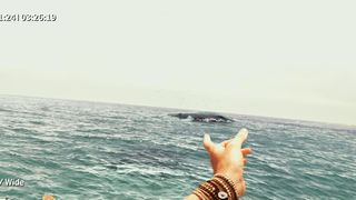 47. Отмель (2016)