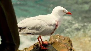 54. Отмель (2016)