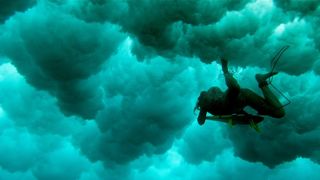 55. Отмель (2016)