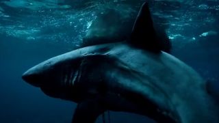 73. Отмель (2016)