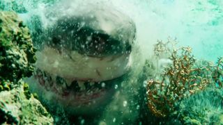 83. Отмель (2016)