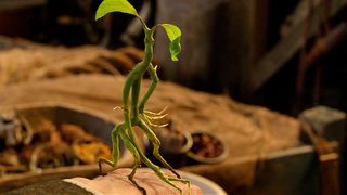 112. Фантастические твари и где они обитают (2016)