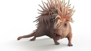 37. Фантастические твари и где они обитают (2016)