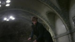 46. Фантастические твари и где они обитают (2016)