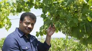 13. Космос: Пространство и время (2014)