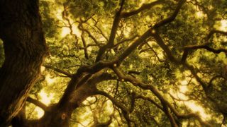 26. Космос: Пространство и время (2014)