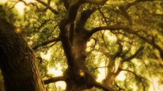 85. Космос: Пространство и время (2014)