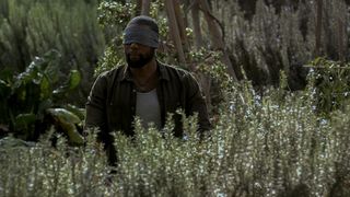 3. Птичий короб (2018)