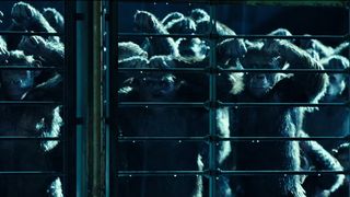 112. Планета обезьян: Война (2017)