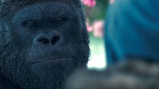 113. Планета обезьян: Война (2017)