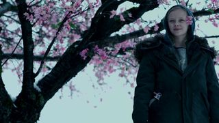 118. Планета обезьян: Война (2017)