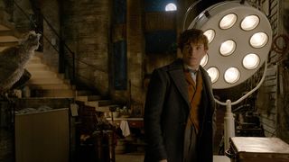 14. Фантастические твари: Преступления Грин-де-Вальда (2018)