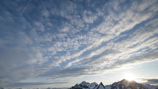 13. Медведи (2014)