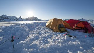 15. Медведи (2014)