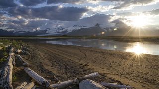 16. Медведи (2014)