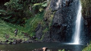 12. Дикарь (2017)