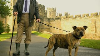 109. Трансформеры: Последний рыцарь (2017)