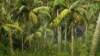 122. Конг: Остров черепа (2017)