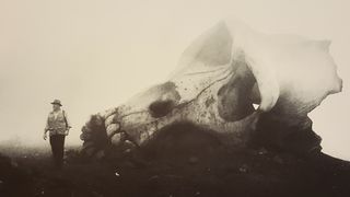 24. Конг: Остров черепа (2017)