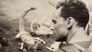 27. Конг: Остров черепа (2017)