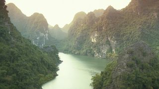 96. Конг: Остров черепа (2017)