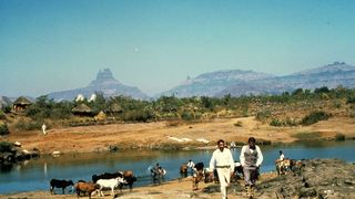 45. Ганди (1982)