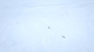 61. Террор (2018)