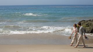 19. Светская жизнь (2016)