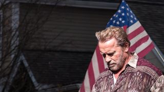 5. Последствия (2017)