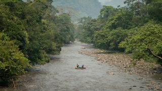 39. Джунгли (2017)