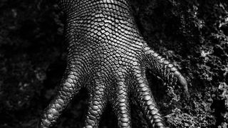 12. Соль Земли (2014)