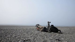 8. Соль Земли (2014)