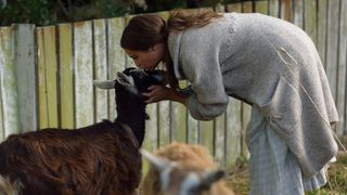 17. Свет в океане (2016)