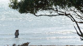 57. Свет в океане (2016)