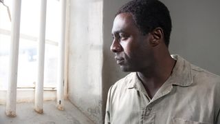 10. Долгая дорога к свободе (2013)