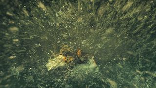 39. В сердце моря (2015)