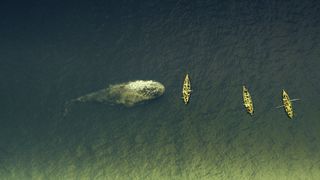 50. В сердце моря (2015)