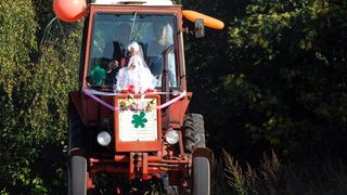 54. Пирамммида (2011)