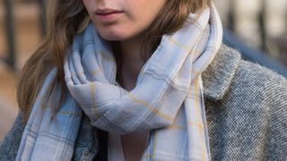 43. Девушка в поезде (2016)