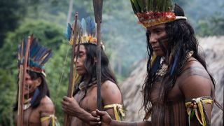 45. Затерянный город Z (2016)