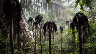 66. Затерянный город Z (2016)