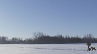 14. Конец тура (2015)