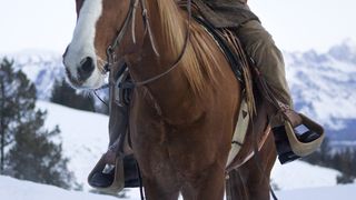 27. Джанго освобожденный (2012)