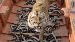 12. Жизнь Пи (2012)