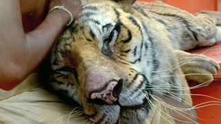 21. Жизнь Пи (2012)