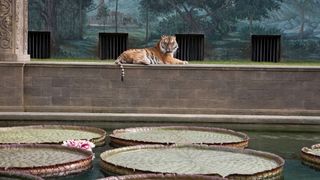 28. Жизнь Пи (2012)