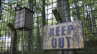 111. Колония Дигнидад (2015)